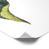 Helianthus annuus poster (Ecke)