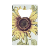 Helianthus Annuus von 'Velins du Roi Vol.36'