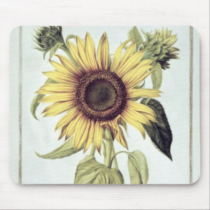 Helianthus Annuus von 'Velins du Roi Vol.36' Mousepad