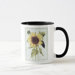 Helianthus Annuus von 'Velins du Roi Vol.36' Tasse