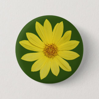 Helianthus 'Lemon Queen' Sonnenblume (abgeschieden Button