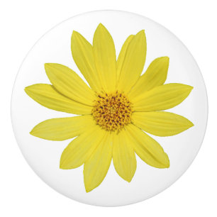 Helianthus 'Lemon Queen' Sonnenblume (abgeschieden Keramikknauf