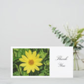 Helianthus 'Lemon Queen' Sonnenblume - Danke (Stehend Vorderseite)