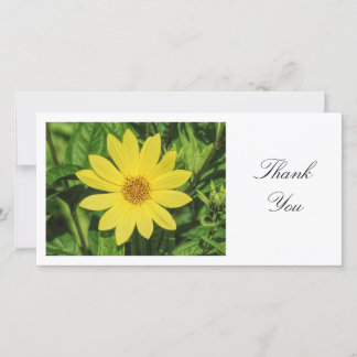 Helianthus 'Lemon Queen' Sonnenblume - Danke