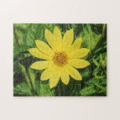 Helianthus 'Lemon Queen' Sonnenblume Puzzle (Horizontal)