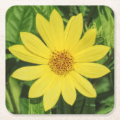 Helianthus 'Lemon Queen' Sonnenblume Rechteckiger Pappuntersetzer (Vorderseite)