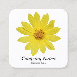 Helianthus 'Lemon Queen' Sonnenblume - Weiß Quadratische Visitenkarte