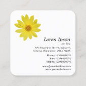 Helianthus 'Lemon Queen' Sonnenblume - Weiß Quadratische Visitenkarte (Rückseite)