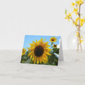 Helianthus (Sonnenblume) in Schottland-Karte (leer Karte (Gelbe Blume)