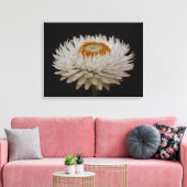 Helichrysum Flower Canvas Print Leinwanddruck (Insitu (Wohnzimmer))