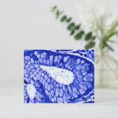 Helicobacter Pylori Postkarte (Stehend Vorderseite)