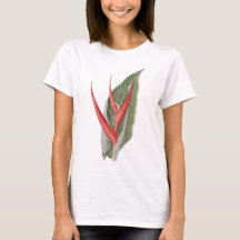 Heliconia 1800 Vintager botanischer T - Shirt