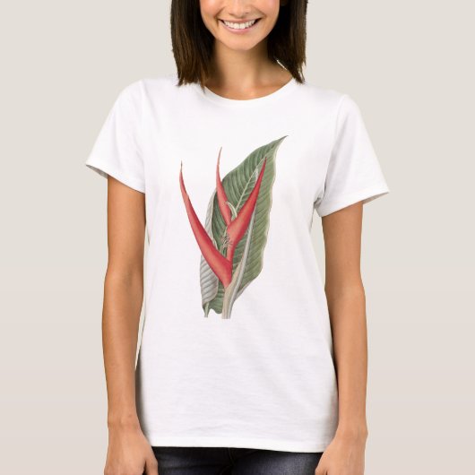 Heliconia 1800 Vintager botanischer T - Shirt (Vorderseite)