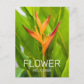 Heliconia Blume Design der Pflanze Feiertagspostkarte (Vorderseite)