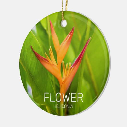 Heliconia Blume Design der Pflanze Keramik Ornament (Links)