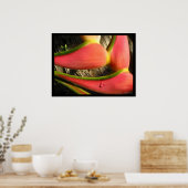 Heliconia Blume Poster drucken (Küche)