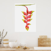 Heliconia Branch Poster (Küche)