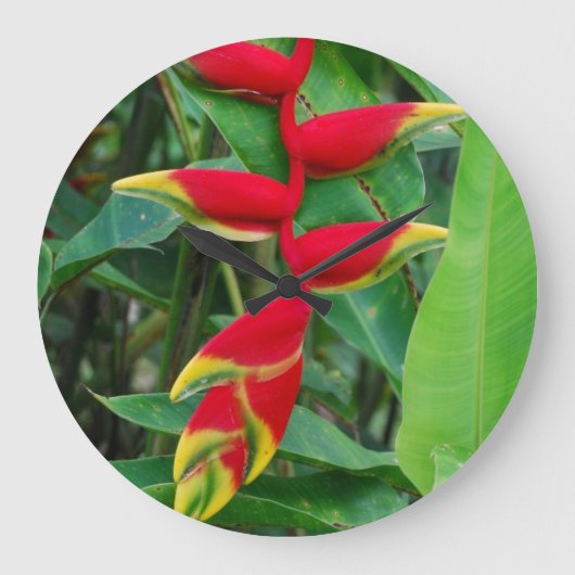Heliconia Große Wanduhr (Vorderseite)