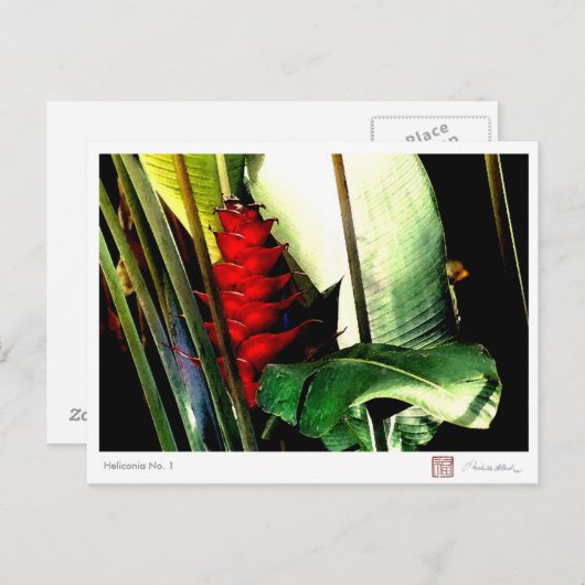 Heliconia Nr. 1 Postkarte (Vorne/Hinten)