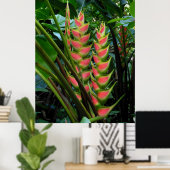 Heliconia Poster (Heimbüro)