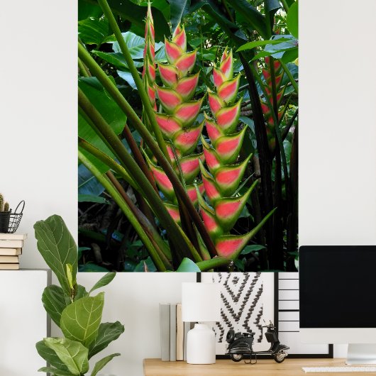 Heliconia Poster (Heimbüro)
