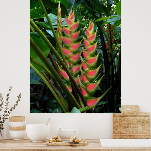 Heliconia Poster (Küche)