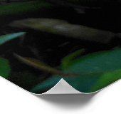 Heliconia Poster (Ecke)