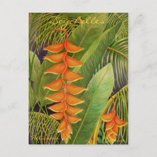 Heliconia Postkarte (Vorderseite)