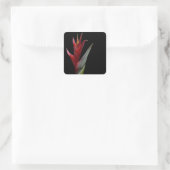 Heliconia Quadratischer Aufkleber (Tasche)