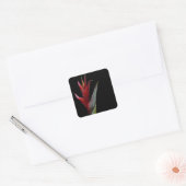 Heliconia Quadratischer Aufkleber (Umschlag)