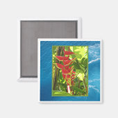 Heliconia rostrata magnet (Vorderseite/Rückseite)