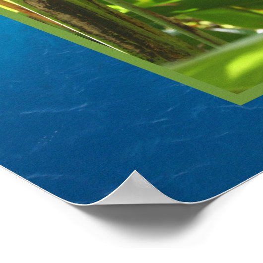 Heliconia rostrata poster (Ecke)