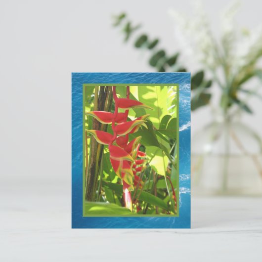 Heliconia rostrata postkarte (Stehend Vorderseite)