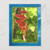 Heliconia rostrata postkarte (Vorderseite)