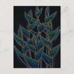 Heliconia Rostrata Tropische Blume Postkarte