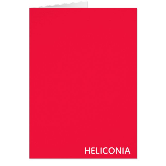 Heliconia roter Name (Vorne)