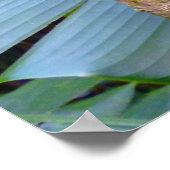 Heliconia und Vanilla Poster (Ecke)