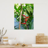 Heliconia und Vanilla Poster (Küche)