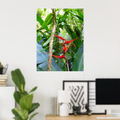 Heliconia und Vanilla Poster (Heimbüro)