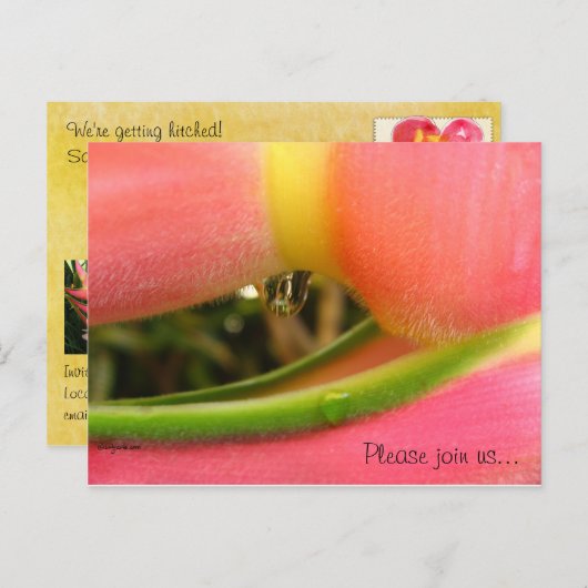 HeliconiaTropical Save the Date Wedding Cards Ankündigungspostkarte (Vorne/Hinten)