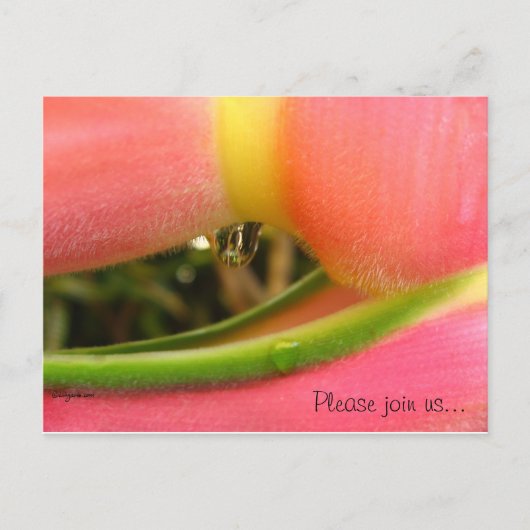 HeliconiaTropical Save the Date Wedding Cards Ankündigungspostkarte (Vorderseite)