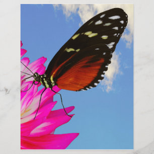 Heliconius-Hekatschmetterling auf einem rosa Dahli Briefbogen