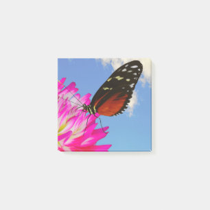 Heliconius-Hekatschmetterling auf einem rosa Dahli Post-it Klebezettel