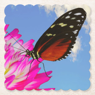 Heliconius-Hekatschmetterling auf einem rosa Dahli Untersetzer