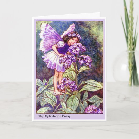 Heliotrope Fairy Karte (Vorderseite)