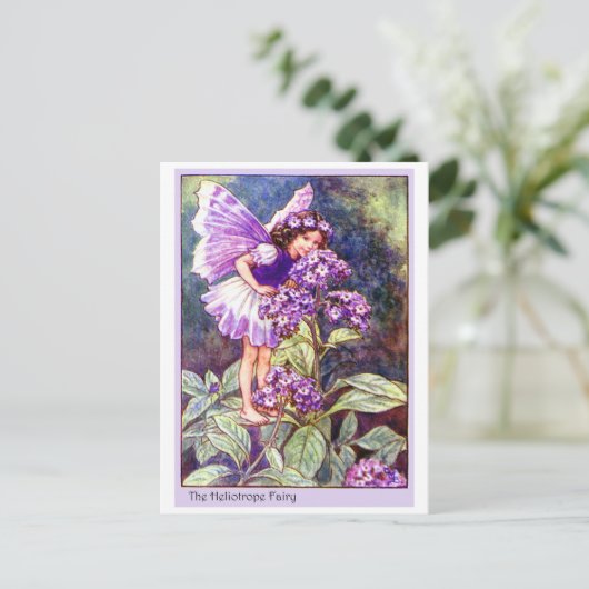 Heliotrope Fairy Postkarte (Stehend Vorderseite)