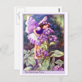 Heliotrope Fairy Postkarte (Vorne/Hinten)