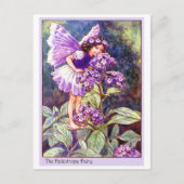 Heliotrope Fairy Postkarte (Vorderseite)