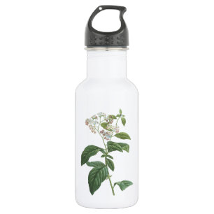 Heliotrope(Heliotropium corymbosum) von Redouté Edelstahlflasche