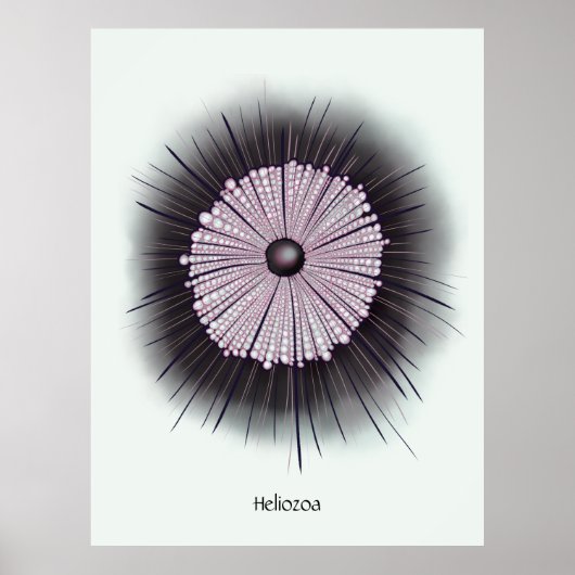 Heliozoa Mikrobe Mikrobiologie Digitale Kunst Poster (Vorne)